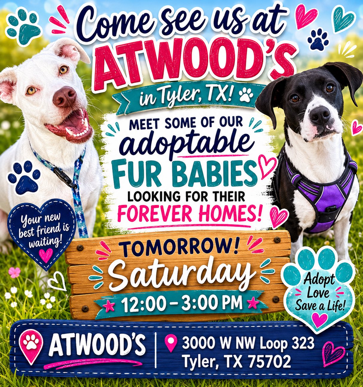 Adoption Event at Atwoods in Tyler