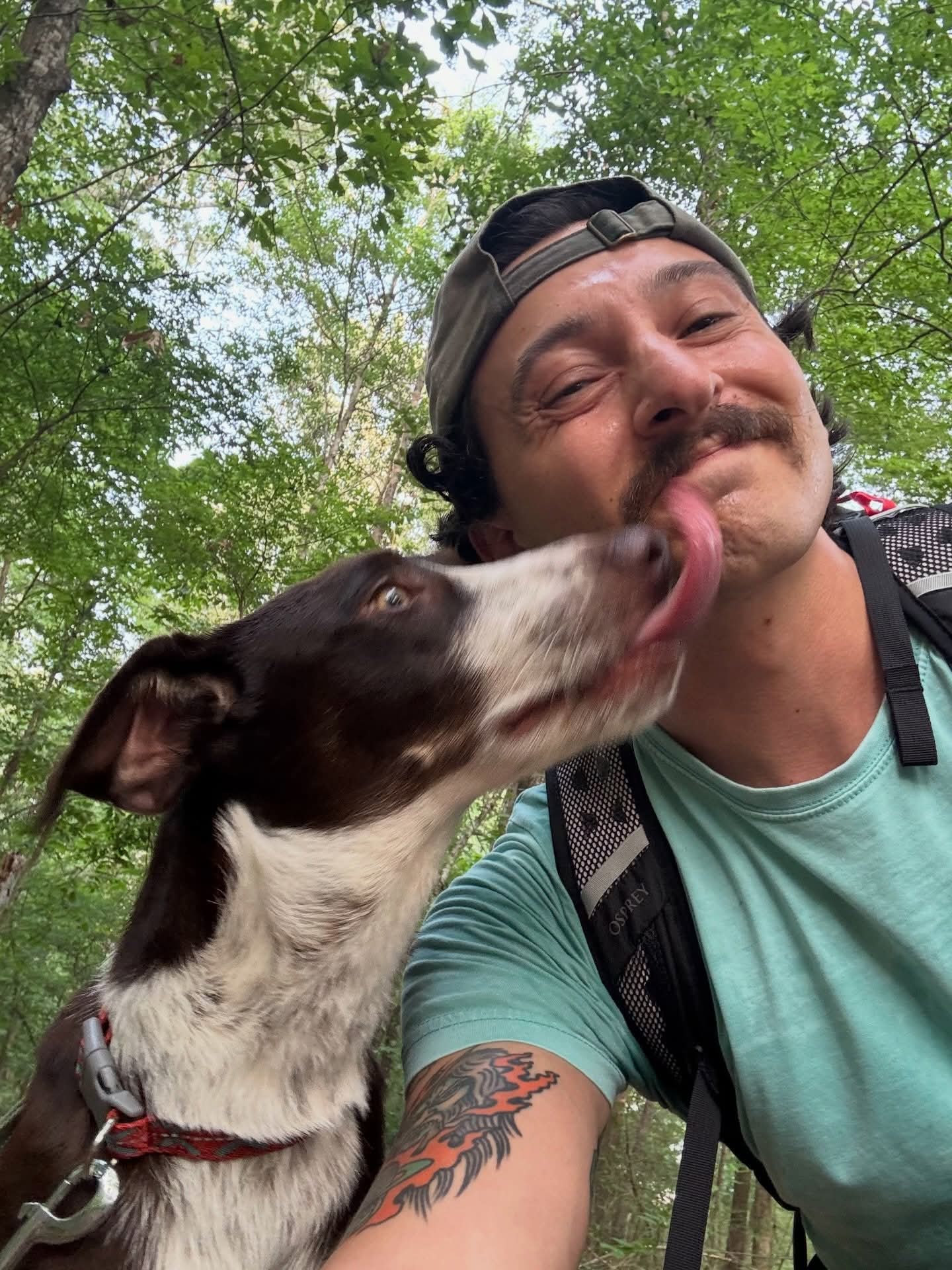 Aspen becomes a foster fail