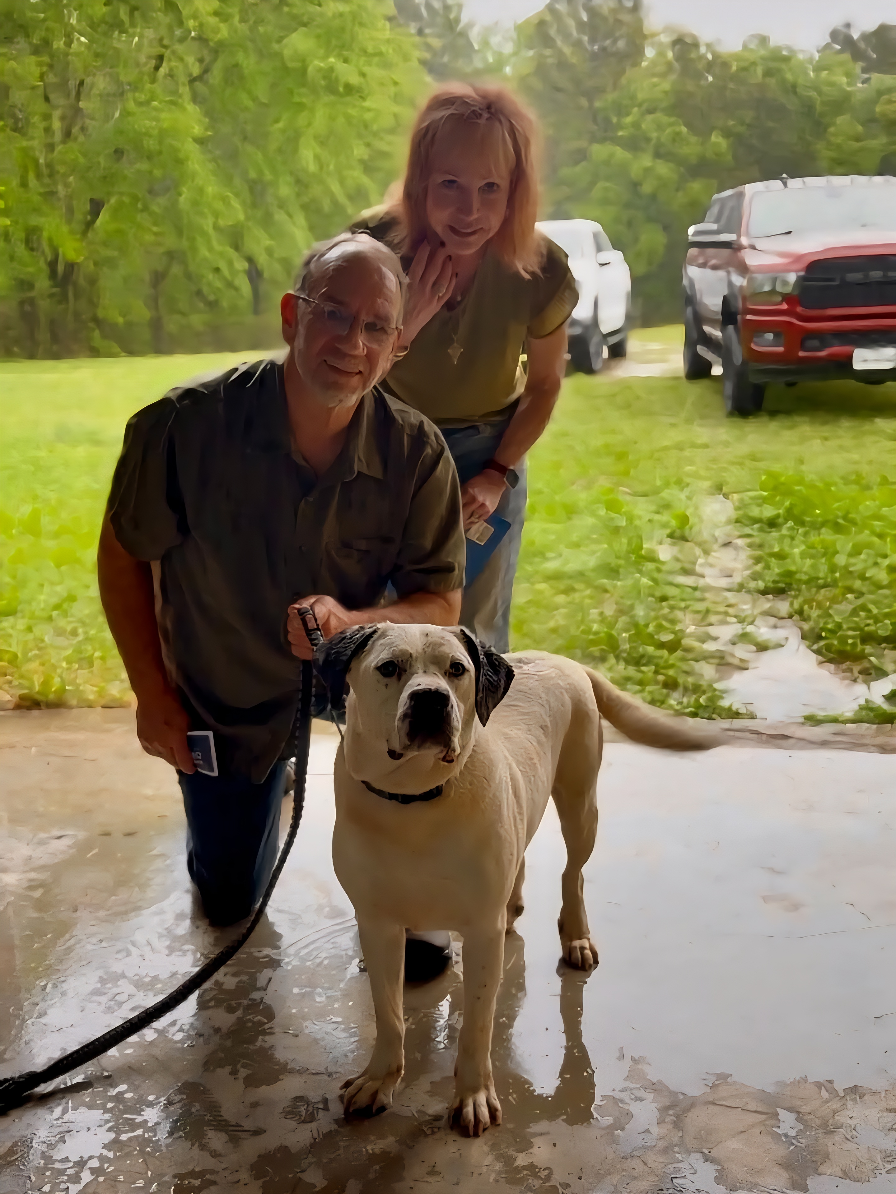 Balu found his home and family