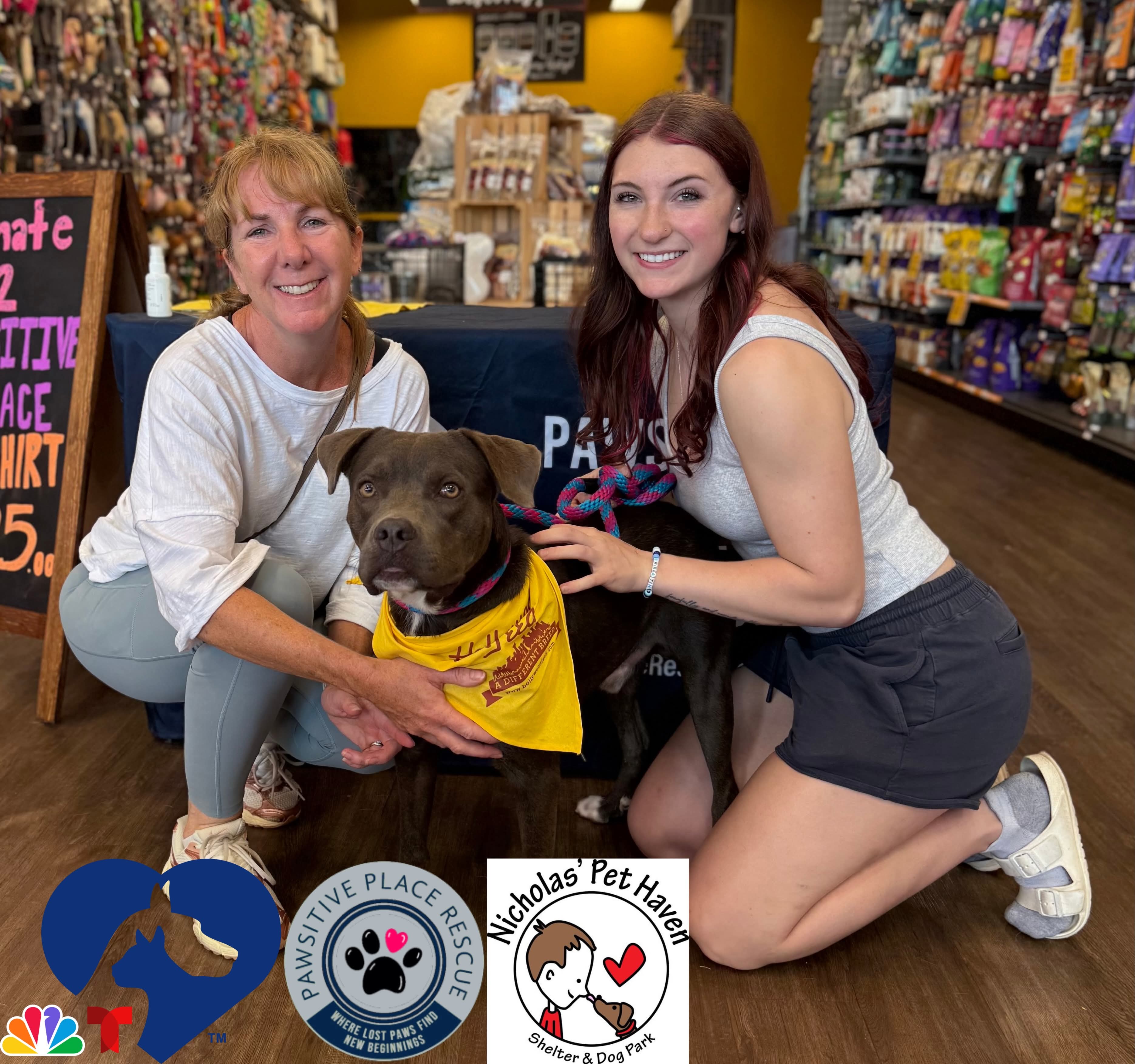 Knox is safe and adopted