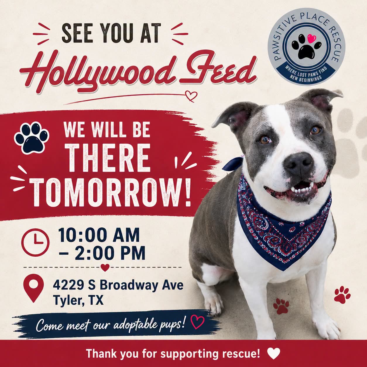 See you at Hollywood Feed
