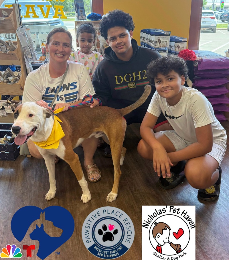 Stoney gets adopted and saved