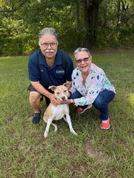 Sweet girl Krissy gets adopted
