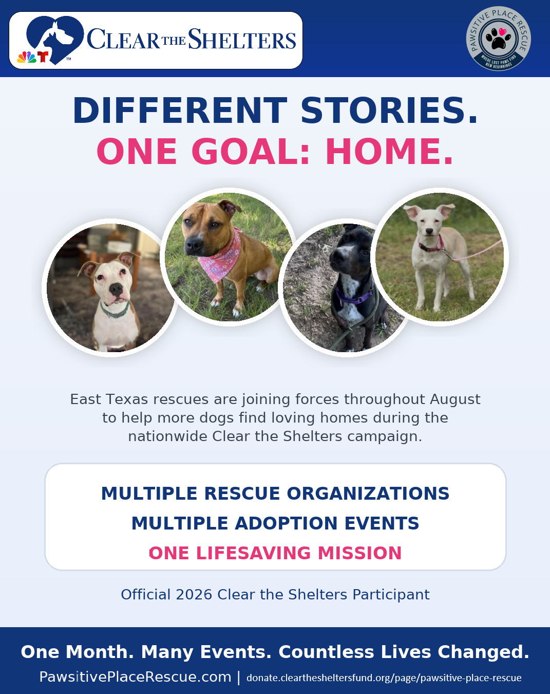 August clear the shelters one goal