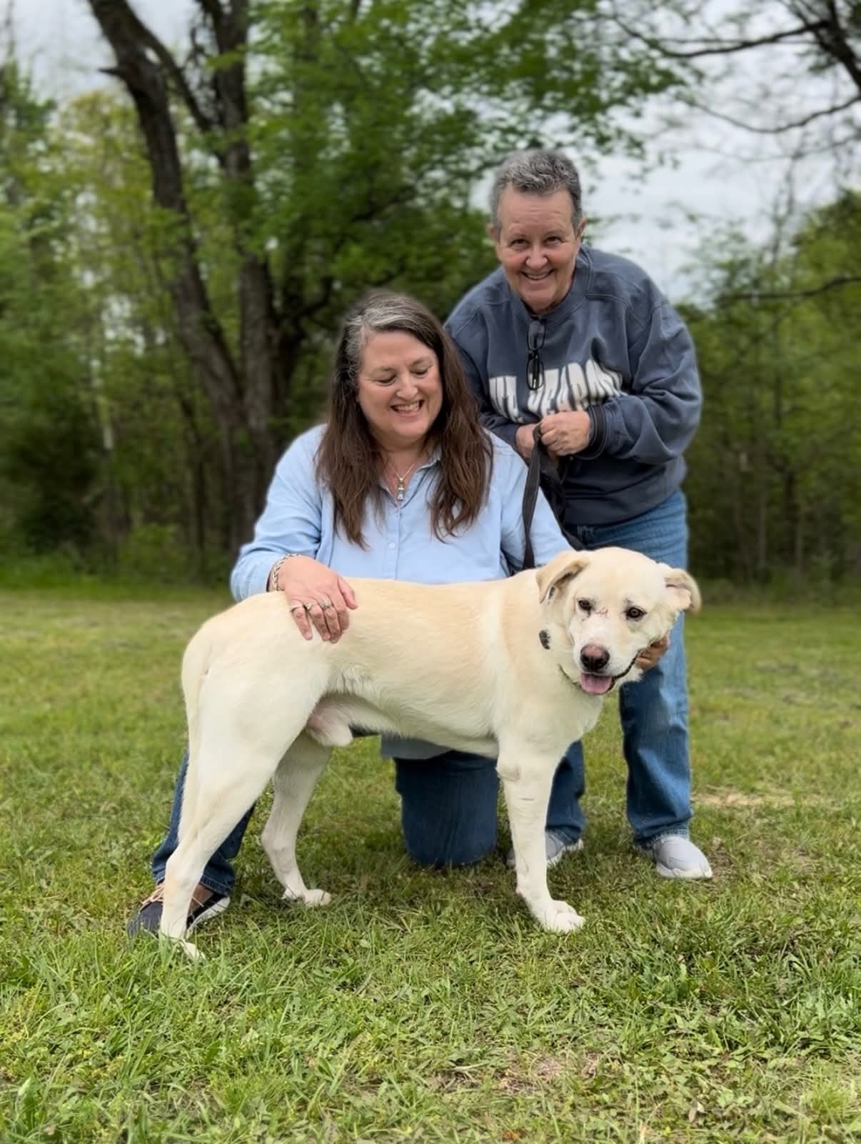 Braveheart heads to new home in ohio