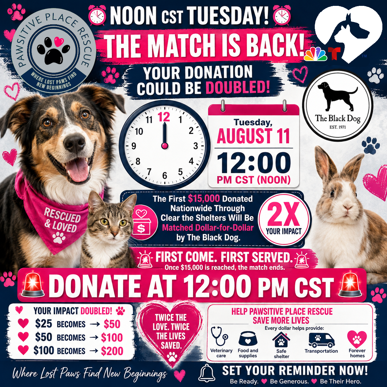 Clean the shelters donation match august 11 at noon