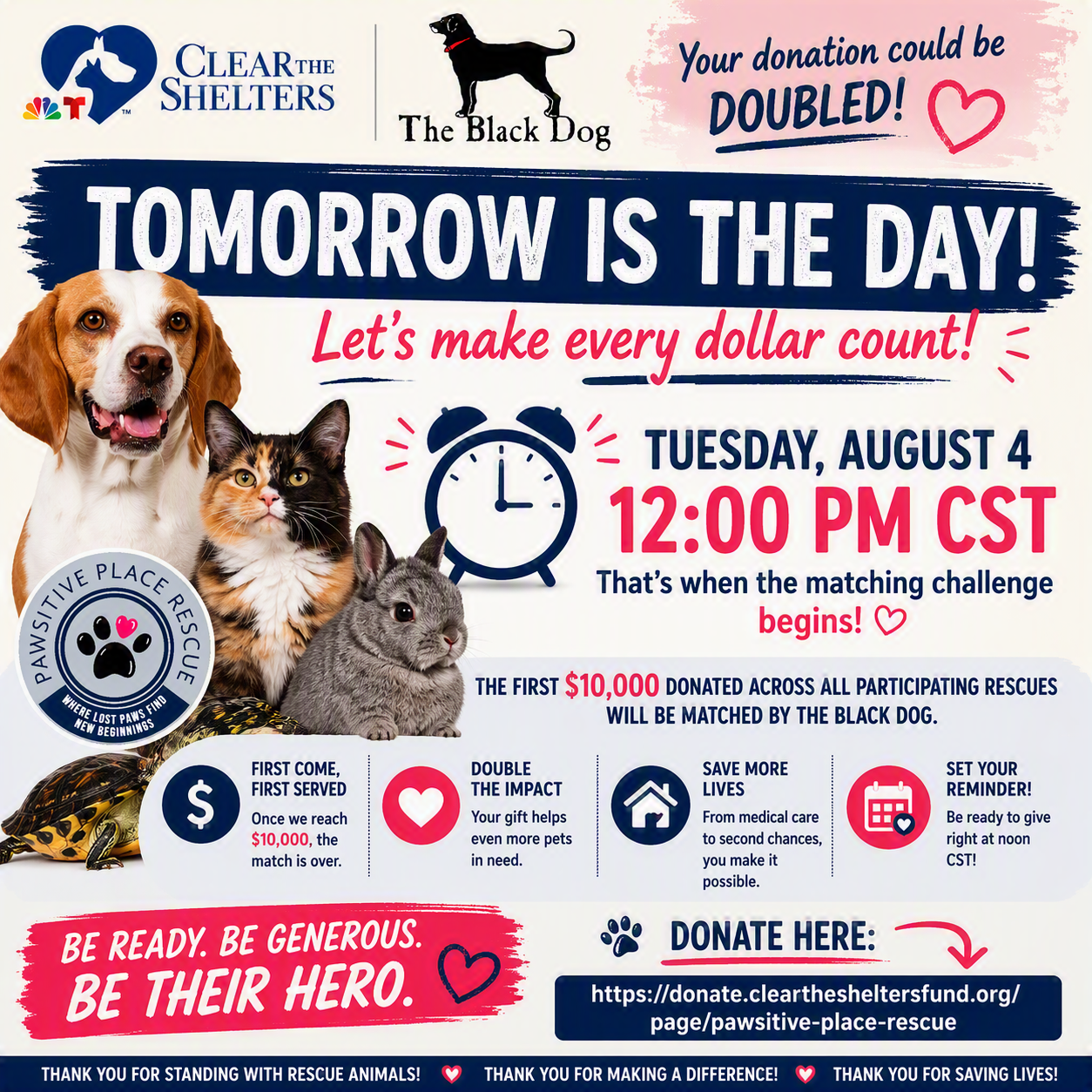 Clean the shelters donation match august 4 at noon