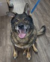 Axel