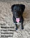 Omar 