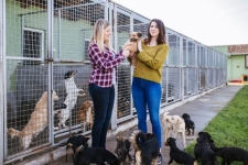 Preparing For Your First Pet