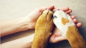 How To Host A Fundraiser For Us
