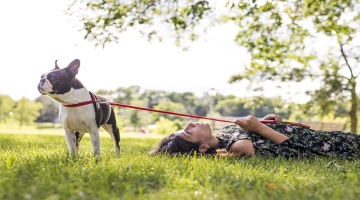 The Real Cost Of Animal Rescue