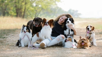 Understanding The Different Dog Breeds And Their Needs