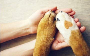 How To Host A Fundraiser For Us