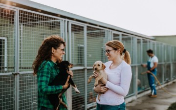 The Benefits Of Adopting