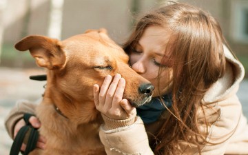 The Benefits Of Fostering