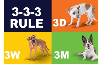 Three Three Three Rule