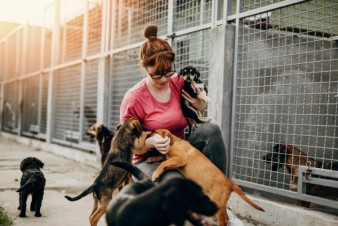 The Benefits Of Volunteering