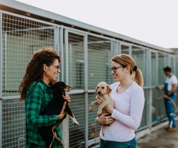 The Benefits Of Adopting