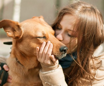 The Benefits Of Fostering