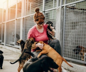 The Benefits Of Volunteering
