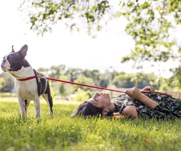 The Real Cost Of Animal Rescue