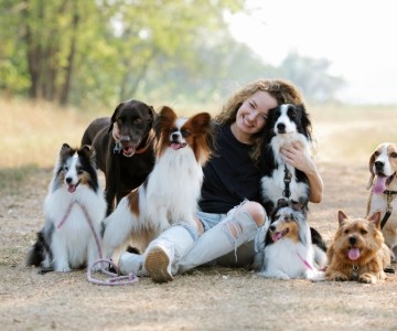 Understanding The Different Dog Breeds And Their Needs