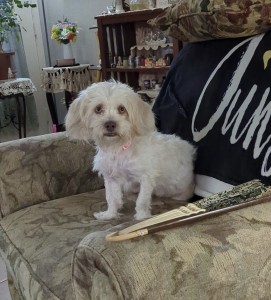Millie