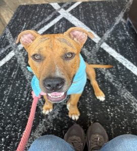 Sweet Girl