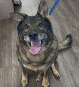 Axel