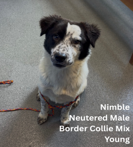 Nimble