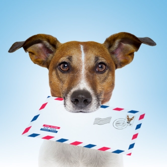 Postal Mail