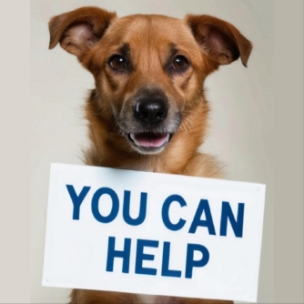 You Can Help