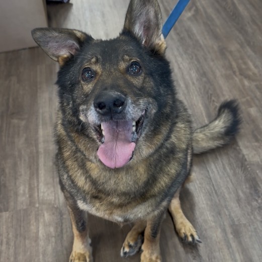 Axel