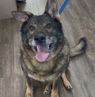 Axel